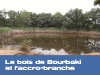 Le bois de Bourbaki et l'accro-branche