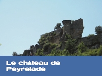 Le château de Peyrelade